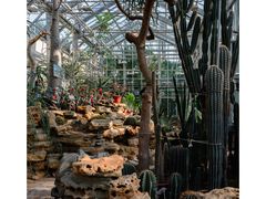 -国家植物园南园