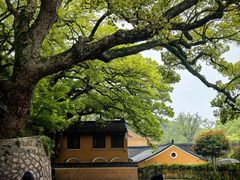 -普陀山风景区-佛顶山