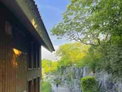 -上海吴淞炮台湾国家湿地公园