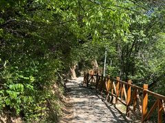-大岭沟猕猴桃谷风景区