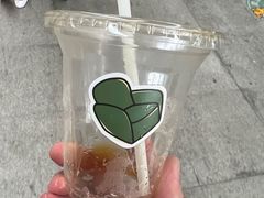 -SAFARI COFFEE