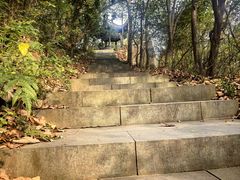 -杭州半山国家森林公园