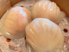 -上海明天广场JW万豪酒店