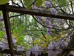 -白塘生态植物园