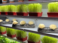 -番食园鲜食火锅(高新店)