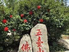 -五台山风景名胜区