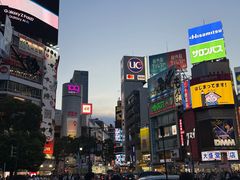 -涩谷区