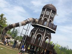 -上海长兴岛郊野公园