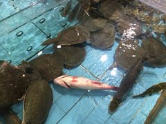 -西贝海鲜汇(槐安路店)