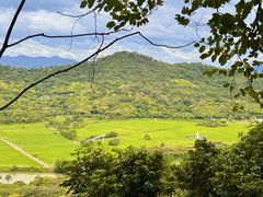 -风云岭森林公园