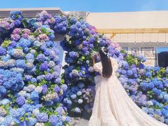-Blue Concept Cafe&Farm·關於藍