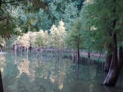-广州市帽峰山景区