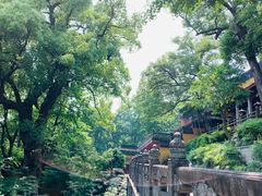 -灵隐飞来峰景区