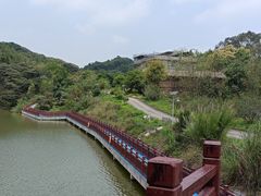 -黄埔油麻山森林公园
