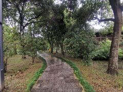 -福建鲤鱼洲酒店