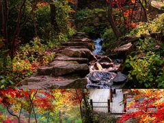 -九如山休闲旅游度假区