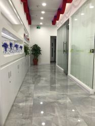 -莱可美科技美肤