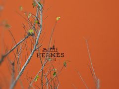 -深圳湾万象城(南山店)