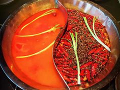 -辣伍鲜毛肚老火锅(元一店)
