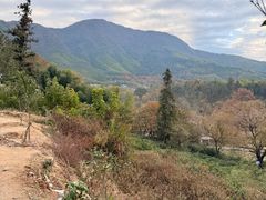 -塔川景区