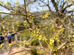 -西湖风景区十里琅珰-五云山