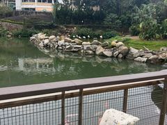-石排湾郊野公园