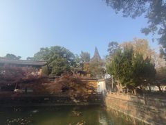 -兴福禅寺