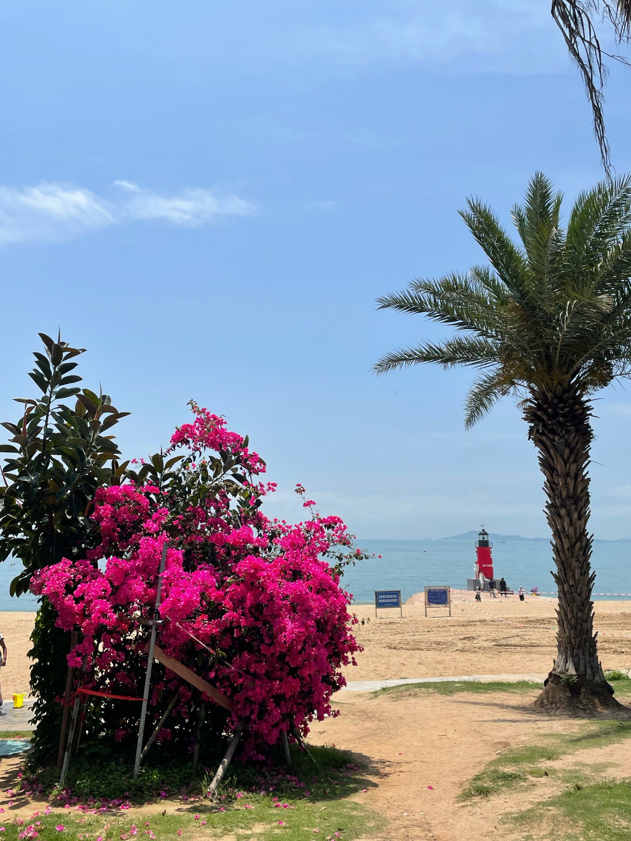 厦门环岛路椰风寨