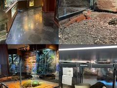 -帕帕拉兹宠物(亚洲旗舰店)