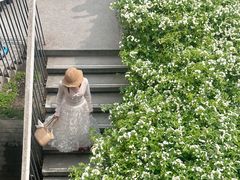 -四川大学(望江校区)
