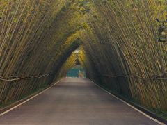 -南宁花花大世界景区