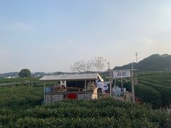 -龙坞茶村