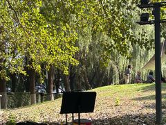 -长白岛森林公园