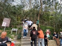 -紫金山山顶公园