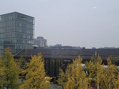 -杭州君悦酒店