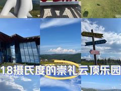 -密苑云顶乐园