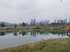 -桂溪生态公园