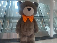 -济州岛泰迪熊博物馆