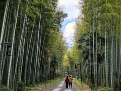 -黄公望隐居地