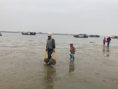 -北海金海湾红树林生态旅游区