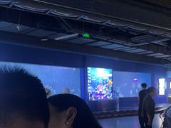 -重庆欢乐海底世界