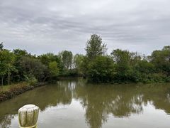 -溱湖国家湿地公园