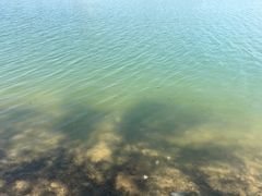 -济南国际园博园