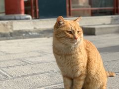-西安碑林博物馆