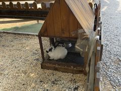 -HERRE·FARM 赫尔露营农场·团建聚会包场