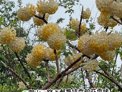 -雅达·阳羡溪山小镇中心