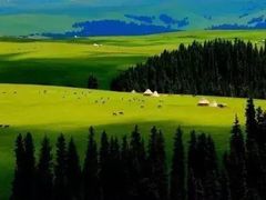 -居丽装饰空间设计(奉贤店整合到徐汇总部)