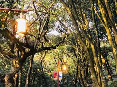 -普陀山风景区-佛顶山