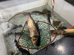 -山城家常菜铁锅炖鱼