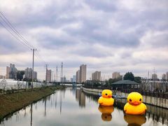 -菊园百果园